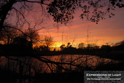 ExpoLight-Branston-Hall-Park-Sunset-Winter-0031C_28Sample_Proof-Photography29.jpg