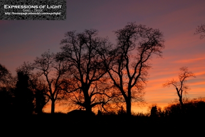 ExpoLight-Branston-Hall-Park-Sunset-Winter-0037C_28Sample_Proof-Photography29.jpg