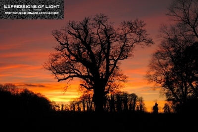 ExpoLight-Branston-Hall-Park-Sunset-Winter-0039C_28Sample_Proof-Photography29.jpg