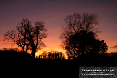 ExpoLight-Branston-Hall-Park-Sunset-Winter-0041C_28Sample_Proof-Photography29.jpg