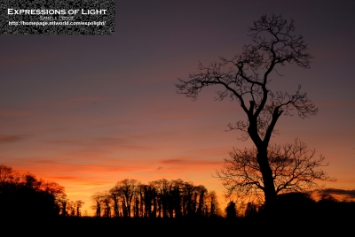 ExpoLight-Branston-Hall-Park-Sunset-Winter-0047C_28Sample_Proof-Photography29.jpg