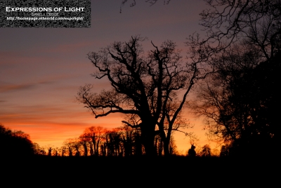 ExpoLight-Branston-Hall-Park-Sunset-Winter-0049C_28Sample_Proof-Photography29.jpg