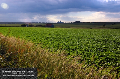 ExpoLight-Branston-Lincoln-Road-Cathedral-View-Summer-2008-0003C_28Sample_Proof-Photography29.jpg