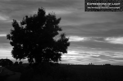 ExpoLight-Branston-Lincoln-Road-Sunset-0017M_28Sample_Proof-Photography29.jpg