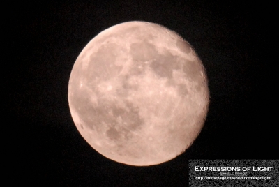 ExpoLight-Branston-Moon-Winter-0001C_28Sample_Proof-Photography29.jpg