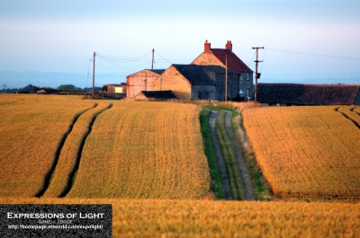 ExpoLight-Branston-Washingborough-Top-Farm-Summer-2008-0003C_28Sample_Proof-Photography29.jpg