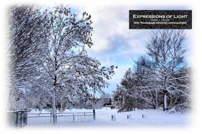 ExpoLight-Card-Lincoln-Birchwood-The-Green-Winter-0009C_28Sample_Proof-Photography29.jpg