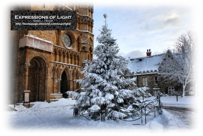 ExpoLight-Card-Lincoln-Cathedral-Christmas-Tree-Of-Life-Winter-2010-0007C_28SP-Photography29.jpg