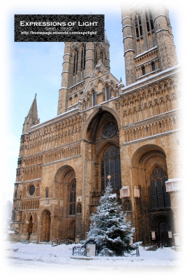 ExpoLight-Card-Lincoln-Cathedral-Christmas-Tree-Of-Life-Winter-2010-0009C_28SP-Photography29.jpg