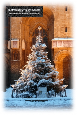 ExpoLight-Card-Lincoln-Cathedral-Tree-Of-Life-Floodlit-Winter-2010-0001C_28SP-Photography29.jpg