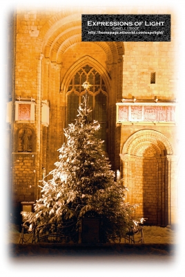 ExpoLight-Card-Lincoln-Cathedral-Tree-Of-Life-Floodlit-Winter-2010-0016C_28SP-Photography29.jpg