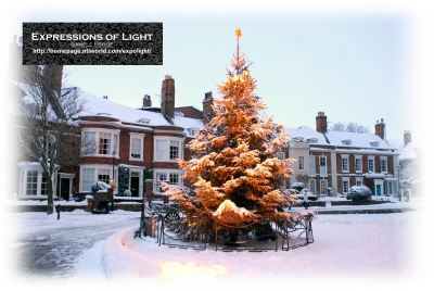 ExpoLight-Card-Lincoln-Christmas-Tree-Of-Life-Floodlit-_-The-Number-Houses-Winter-2010-0001C_28SP29.jpg