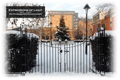 ExpoLight-Card-Lincoln-St_Marks-Square-Christmas-Tree-Winter-2010-0003C_28SP-Photography29.jpg