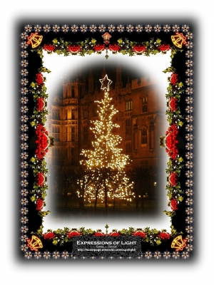 ExpoLight-Christmas-Card-0004C_28Sample_Proof-Photo_Artwork-Rectangle_Blur29.jpg