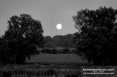 ExpoLight-Far-Ings-Nature-Reserve-Moonrise-0002M_28Sample_Proofs-Photography29.jpg