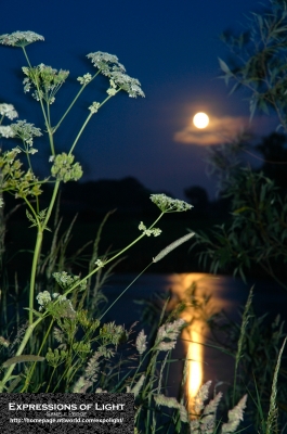 ExpoLight-Far-Ings-Nature-Reserve-Moonrise-0025C_28Sample_Proofs-Photography29.jpg