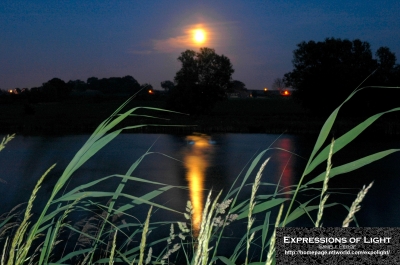 ExpoLight-Far-Ings-Nature-Reserve-Moonrise-0029C_28Sample_Proofs-Photography29.jpg