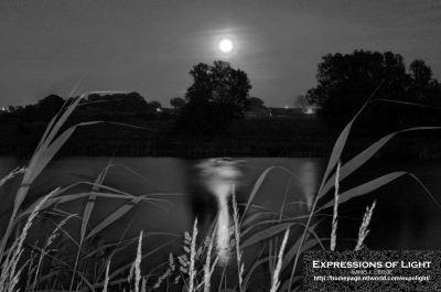 ExpoLight-Far-Ings-Nature-Reserve-Moonrise-0031M_28Sample_Proofs-Photography29.jpg