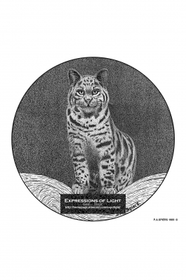 ExpoLight-Graphic-Arts-Bobcat-0001M_28Sample_Proof-Artwork29.jpg