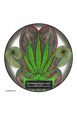 ExpoLight-Graphic-Arts-Cannabis-0002C_28Sample_Proof-Artwork29.jpg