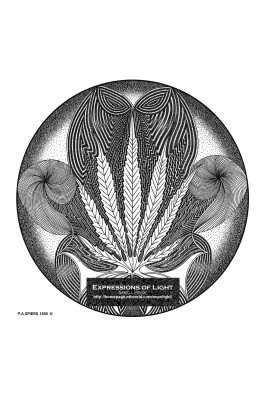 ExpoLight-Graphic-Arts-Cannabis-0002M_28Sample_Proof-Artwork29.jpg