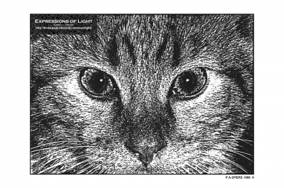 ExpoLight-Graphic-Arts-Cat-0001M_28Sample_Proof-Photo-Artwork29.jpg