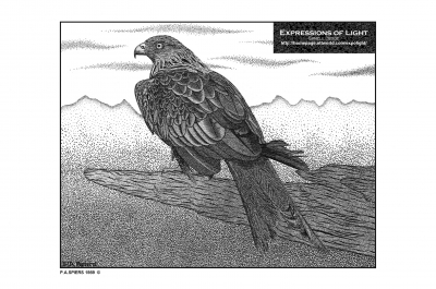 ExpoLight-Graphic-Arts-Eagle-0001M_28Sample_Proof-Artwork29.jpg