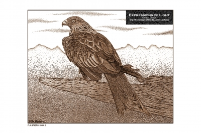 ExpoLight-Graphic-Arts-Eagle-0001S_28Sample_Proof-Artwork29.jpg