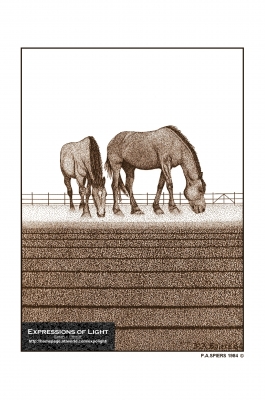 ExpoLight-Graphic-Arts-Horses-0001S_28Sample_Proof-Artwork29.jpg