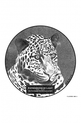 ExpoLight-Graphic-Arts-Leopard-0001M_28Sample_Proof-Artwork29.jpg