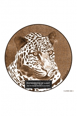 ExpoLight-Graphic-Arts-Leopard-0001S_28Sample_Proof-Artwork29.jpg