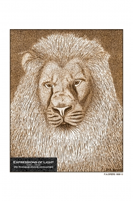 ExpoLight-Graphic-Arts-Lion-0001S_28Sample_Proof-Artwork29.jpg