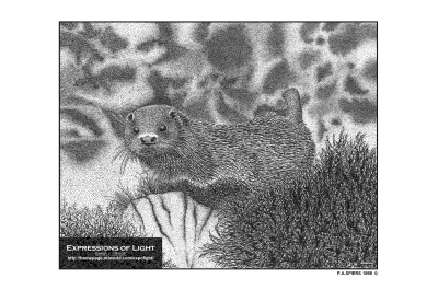 ExpoLight-Graphic-Arts-Otter-0001M_28Sample_Proof-Artwork29.jpg