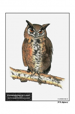 ExpoLight-Graphic-Arts-Owl-0001C_28Sample_Proof-Artwork29.jpg