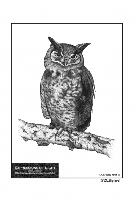 ExpoLight-Graphic-Arts-Owl-0001M_28Sample_Proof-Artwork29.jpg