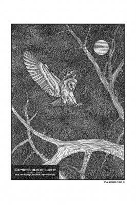 ExpoLight-Graphic-Arts-Owl-0002M_28Sample_Proof-Artwork29.jpg