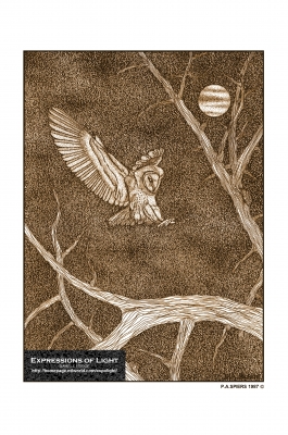 ExpoLight-Graphic-Arts-Owl-0002S_28Sample_Proof-Artwork29.jpg