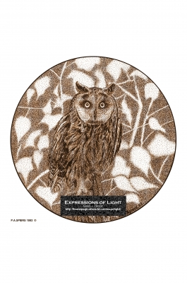 ExpoLight-Graphic-Arts-Owl-0004S_28Sample_Proof-Artwork29.jpg