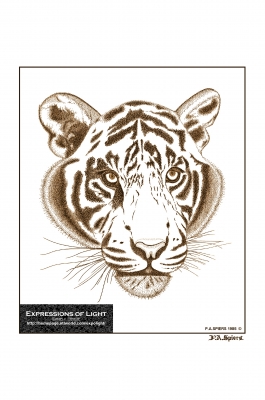 ExpoLight-Graphic-Arts-Tiger-0001S_28Sample_Proof-Artwork29.jpg