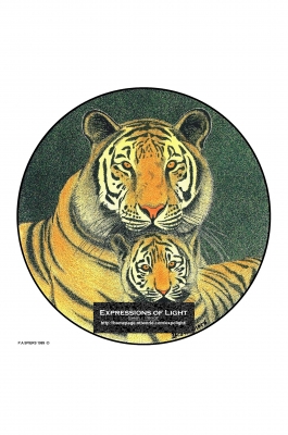 ExpoLight-Graphic-Arts-Tiger-0003C_28Sample_Proof-Artwork29.jpg