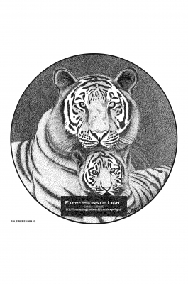 ExpoLight-Graphic-Arts-Tiger-0003M_28Sample_Proof-Artwork29.jpg