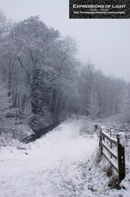 ExpoLight-Lincoln-Boultham-Park-Winter-0001C_28Sample_Proof-Photography29.jpg