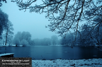 ExpoLight-Lincoln-Boultham-Park-Winter-0030C_28Sample_Proof-Photography29.jpg