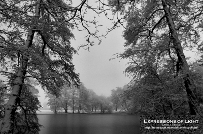 ExpoLight-Lincoln-Boultham-Park-Winter-0049M_28Sample_Proof-Photography29.jpg