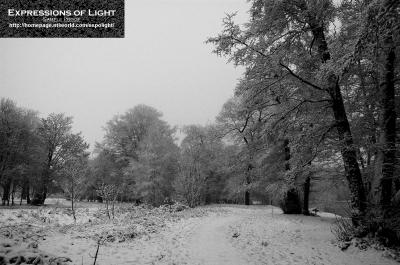 ExpoLight-Lincoln-Boultham-Park-Winter-0052M_28Sample_Proof-Photography29.jpg