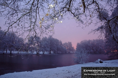 ExpoLight-Lincoln-Boultham-Park-Winter-0060C_28Sample_Proof-Photography29.jpg