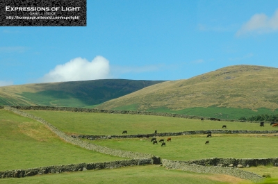 Lake-District-Thwaites-Walled-Pastures-_-Fells-0001C.jpg