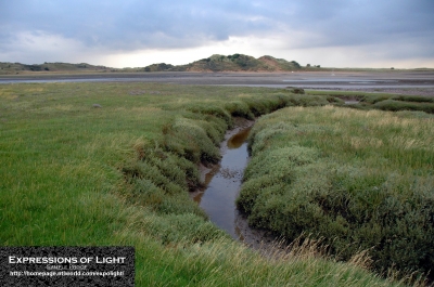 Ravenglass-Estuary-Eskmeals-0009C.jpg