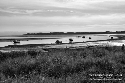 Ravenglass-Harbour-0026M.jpg