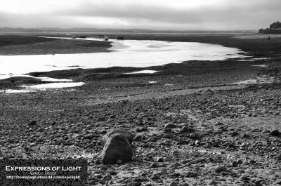 Ravenglass-Harbour-0043M.jpg